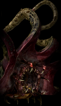 Kajran